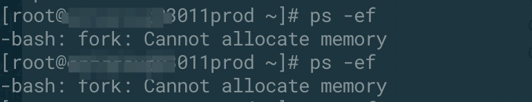 image-20191226173432758